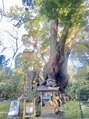 ビューティインベスト(Beauty INBEST)&nbsp;熱海の来宮神社。大楠のこと葉おすすめ♪2回行きお言葉に感謝♪