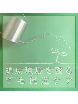 マハロ整体 松阪(MAHALO)/育 毛 促 進 ケア