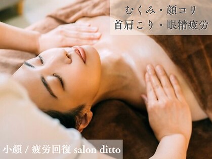 サロンディト(ditto)の写真