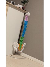 エスタ(S’ta)/カラフル骨模型(^^♪