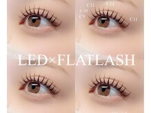 エコール(EcorE)/【LED100本】