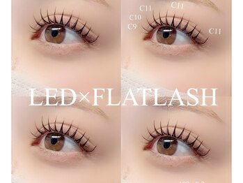 エコール(EcorE)/【LED100本】