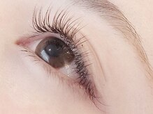 モルレーヴ(MOLREVE)/ブラウン単色／池袋