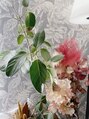 アイルーム(i.room)&nbsp;植物を見たり育てるのが好きです♪休日はヨガで温活してます！