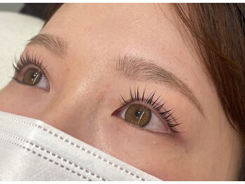 リンク(Link)/カールが選べるラッシュリフト