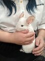 ボディメンテ大足 西宮北口店(BODYMAINTE大足)&nbsp;動物大好きです。憧れのチンチラさんです。