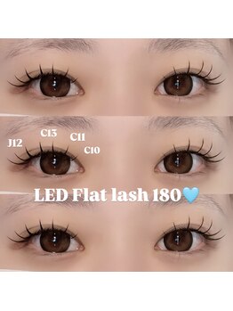 リンネ(LinNe)/KURUMI担当