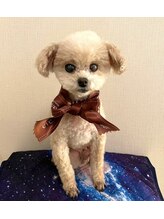 すこやかさん 中野 めんま