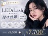 *当店おすすめ*【LEDiLash】高持続インシアノ付け放題　￥9,500→7,700