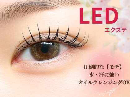 レイール 吉祥寺(Reir)の写真