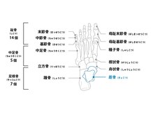 フォルトゥーナ 東京本店/足元の重要性