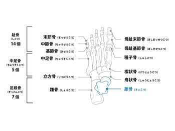 フォルトゥーナ 東京本店/足元の重要性
