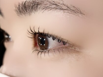 シェリー(cheri)の写真