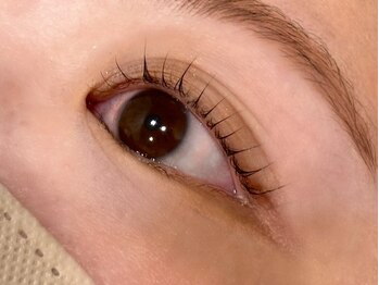 エルレ(ELRe)/カールデザイン