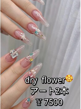 ベラーネイルサロン(Bella Nail Salon)/dry flower