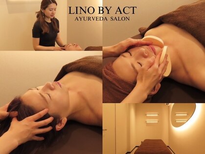 リノ バイ アクト(LINO by ACT)の写真