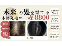 プラチナムスーパースカルプ 宮崎市店(PLATINUMスーパースカルプ)