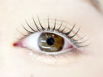 デイジー バイ アルテフィーチェ 梅田(daisy by artefice)/ぱっちりまつ毛パーマ☆