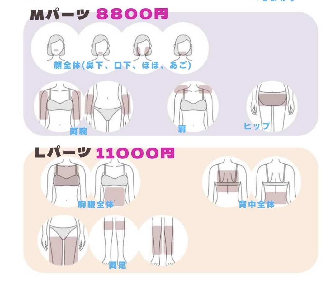 【新規限定】レディース　Lパーツ　1回¥1100