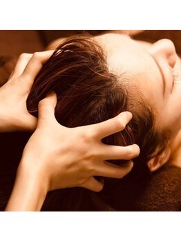 ノアジャパン(NoahJapan)/ハイブリッド型ヘッドケア