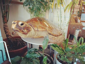 三休/カメキュウくんがお出迎え