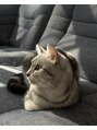 クレールネイル 郡山(Clair nail) 愛猫オハナちゃんです★