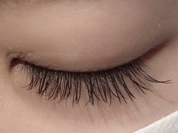 カラン 焼津店(CALIN)/フラットラッシュ100本