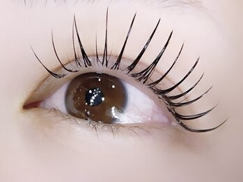 アイパリシルヴィー(Eye paris Silvi)の写真/圧倒的モチの良さ★ボリューム感とキープ力抜群!!【バインドロック60束¥7000→¥6600】