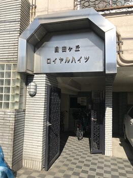 ミモザ(mimosa)/【道案内】到着