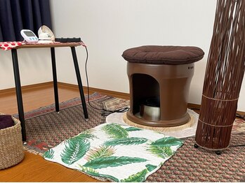 プロテア(Protea)/◇よもぎ蒸し・ハーブ蒸し◇