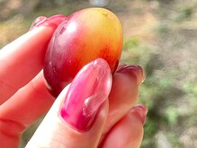 2M ネイル アトリエ(2M NAIL ATELIER)/葡萄 ブドウ しずく ちゅるん