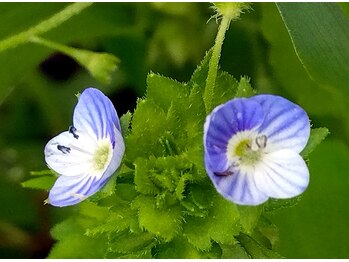 リラクゼーション整体 りめいく/体もみほぐし75分 コース