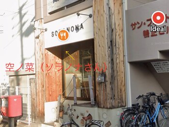 リノ プレミアム(Lino Premium)/