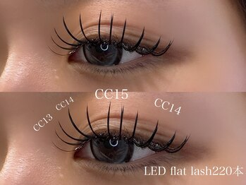 エヌアイズ(neYES!)/☆LED220本☆