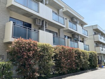 ウィル 二子新地(will)/【アクセス】100mほど直進