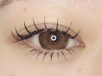 ネオリーブ ルノン 日吉(Neolive Runon)/エクステ上下