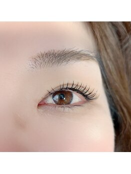 ロコアイラッシュ(loko eyelash)/LED・フラットラッシュ/120本