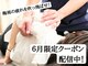セレナ 川越の写真