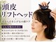 プロエステマザーの写真