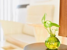 ティアラ(tiara)/