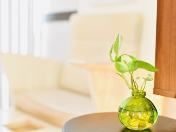 ティアラ(tiara)/