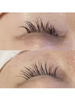 リリー オブ ザ バレー(lily of the valley)/