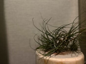 メイノウ(Meinou)/雰囲気抜群！