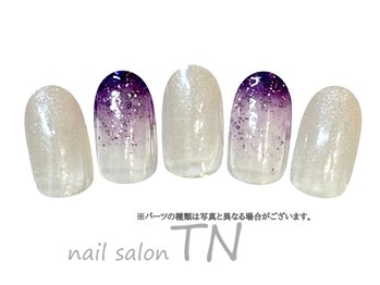 ティーエヌ イオン新潟青山店/12月季節の定額3900円コ―ス