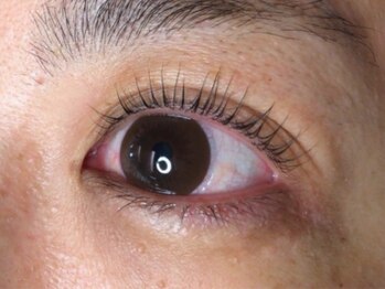 ウルカ アイラッシュ(uruka EYELASH)/ラッシュリフト