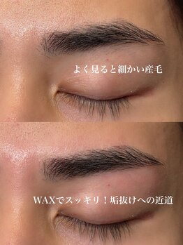 ブラックベルベット 24(BLACK VELVET 24)/眉毛WAX