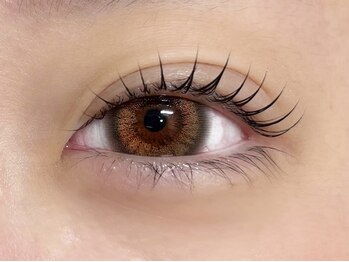 リノア 大船(Linoa)/ラッシュリフト/まつげパーマ