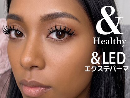 モルレーヴ(MOLREVE)の写真