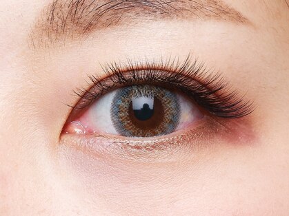 シューン(schon)の写真