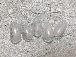 6月定額A 　偏光パールネイル